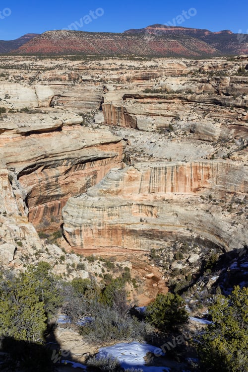 Preview: Section Of Canyon Where The River Carves Out Curves Out Of The Sandstone Cliffs