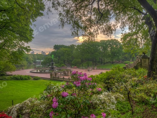 Preview: Central Park, Manhattan, New York City In Spring