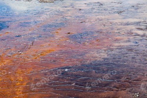 Preview: Natural Abstract From A Hot Spring