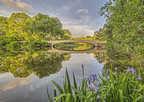 Preview: The Bow Bridge Is A Cast Iron Bridge Located In Central Park, New York City, Crossing Over The Lake