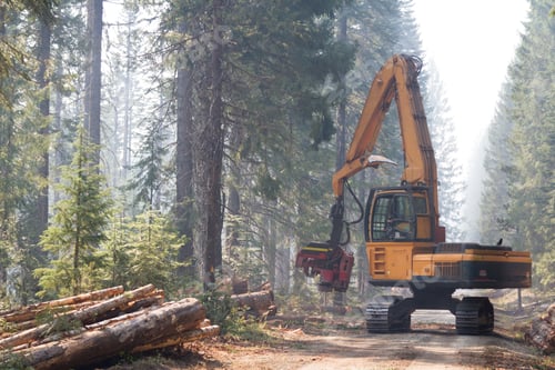 Preview: Large Machine Used To Cut And De-Limb Trees In The Middle Of The Road On A Smoky Morning In Oregon