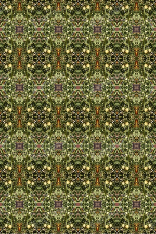 Preview: A Tomato Plant Abstract With Ripening Fruit In Small And Large Sizes 0378