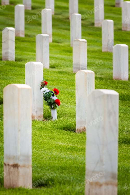 Preview: Flowers In Rows Of Tombstones In A Military Graveyard