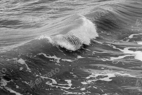 Preview: Ocean Waves In The Morning Sunshine