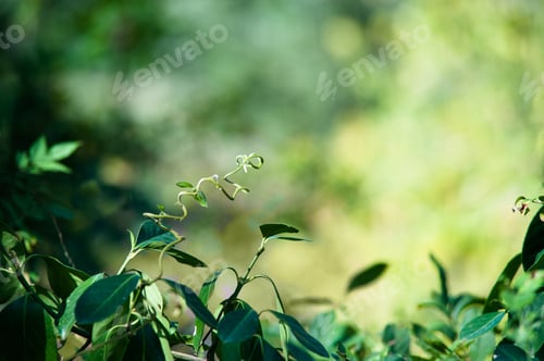 Preview: Artsy Backdrop Of New Spring Beginnings Full Of Green Color