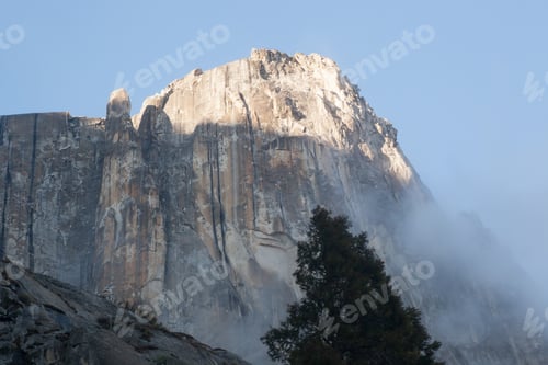 Preview: Trees And Snow On A Mountain In The Morning Sunshine