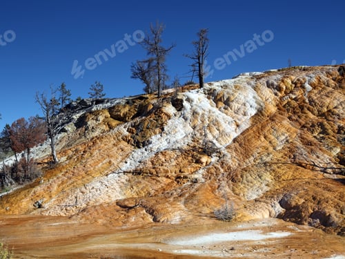 Preview: Yellowstone National Park In Wyoming