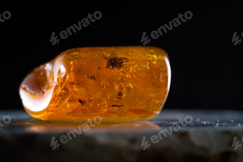 Preview: Close Up Of A Piece Of Amber Preserving A Piece Of History Inside