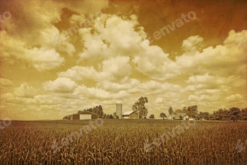Preview: Old Farm Picture