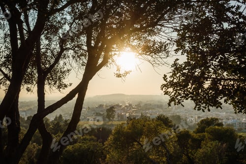 Preview: View Of Bright Sun Over Athens City From Amidst The Trees, Greece