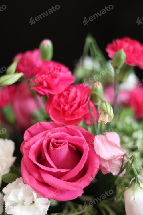 Preview: A Bouquet Of Red White And Pink Roses 1609