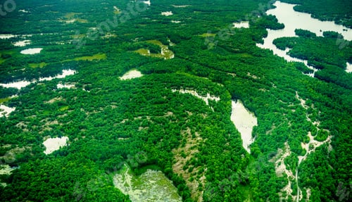 Preview: High Angle View Of Wetlands At Day, Toronto, Ontario, Canada. Aerial Picture From Ontario Canada