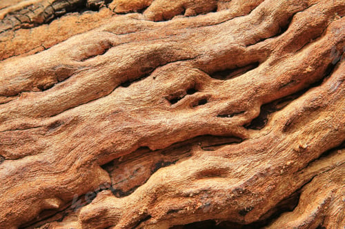 Preview: Wood Textured Background - Natural Beauty Through Hardwood