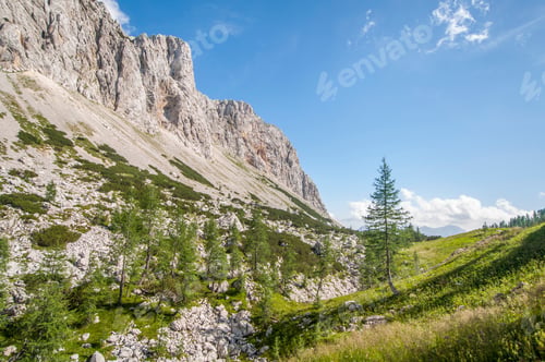 Preview: Landscape Photo Of The Views Atop A Rocky Mountain With Trees On A Sunny Day. Shot In Triglav