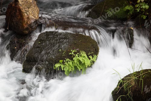 Preview: River Cascading Around Moss Covered Rock