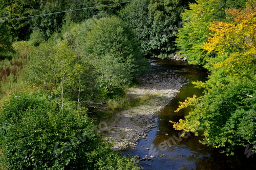 Preview: Thick Trees Following The River In The Scottish Highlands.