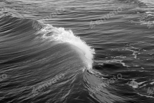 Preview: Ocean Surf In The Sunshine In Black And White