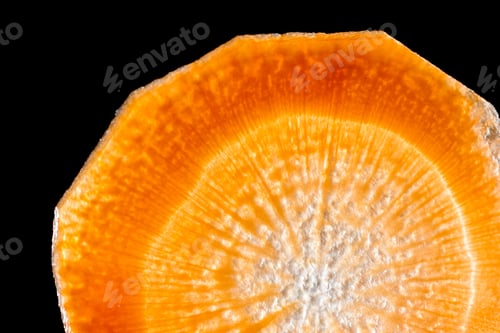 Preview: Close Up Of A Thin Slice Of Carrot Back Lit With A Beautiful Pattern And Glowing Orange Color