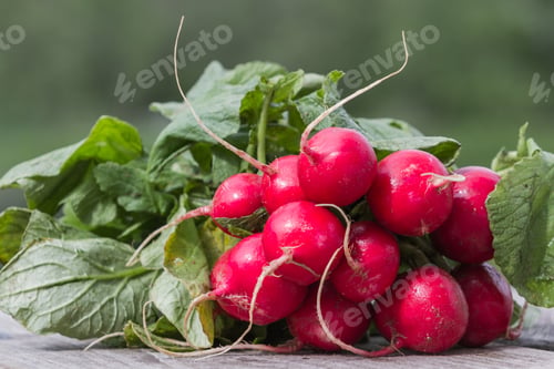 Preview: Fresh Organic Radishes On A Wooden Board For Sale At The Local Farmers Market