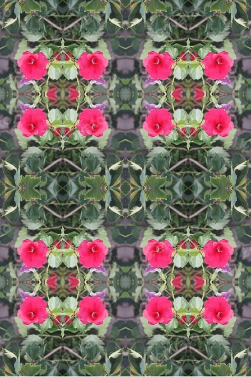 Preview: A Hibiscus Bush Abstract With Pink Flowers 6597