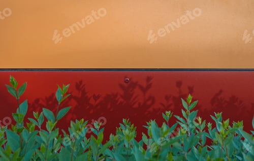 Preview: Green Plants Throw A Shadow On A Red And Yellow Wall