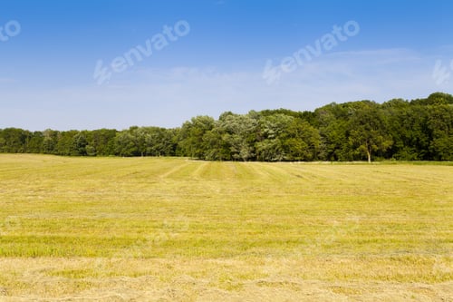Preview: American Countryside