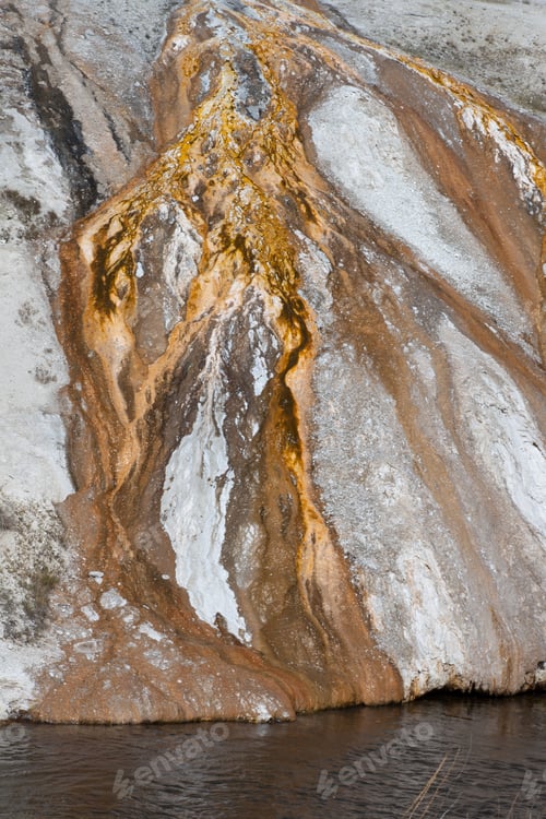 Preview: Abstract From A Hot Spring In Yellowstone