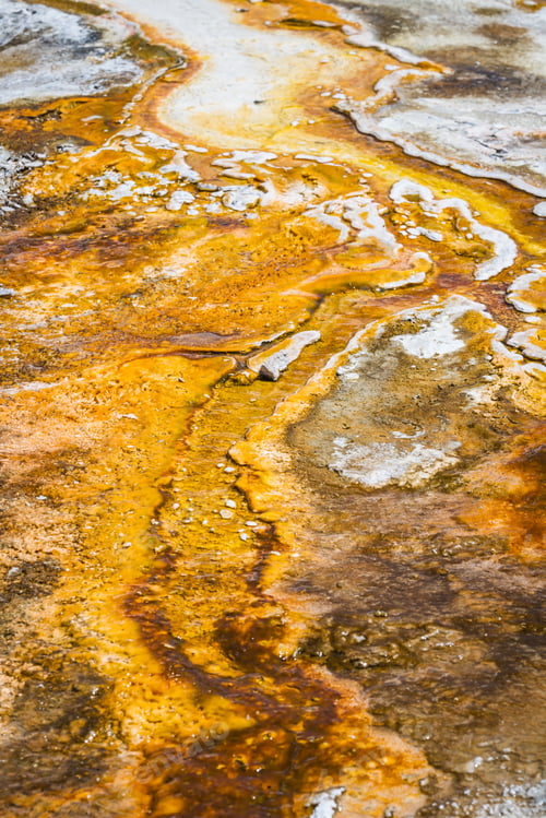 Preview: Closeup Of Mineral Rich Formations In The Thermal Active Waters Of Yellowstone National Park