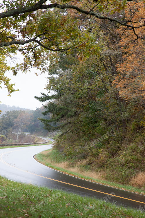 Preview: Mountain Road Turning Through The Trees