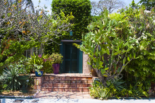 Preview: Wooden Door With Big Garden