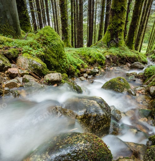 Preview: A River Flowing Over Rocks In A Scottish Forest During Summer Showing Green Moss And Clover Against