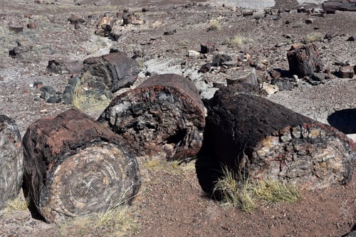 Preview: Large Scattered Chunks Of Petrified Logs In The Desert.