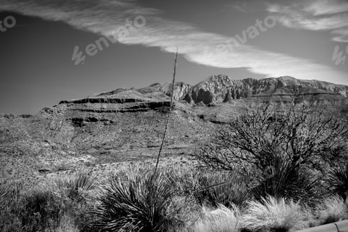 Preview: Desert Landscape With Bushes And Sky With Clouds