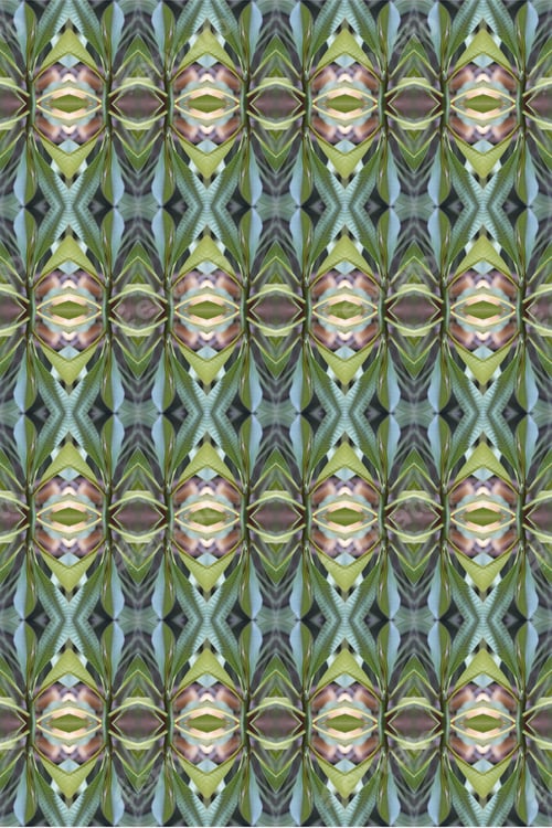 Preview: An Abstract Of Fresh Green Plumeria Rubra Leaves 0035