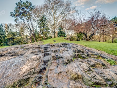 Preview: Central Park, Manhattan, New York City In Spring