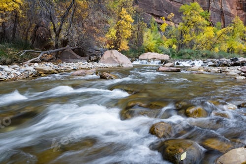 Preview: Rapids In The Virgin River With Autumn Colors In The Leaves And Trees