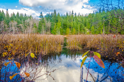 Preview: Majestic Mountain Lake In Canada.