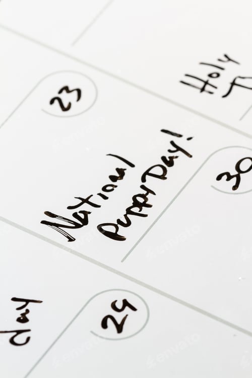 Preview: Closeup Of A Calendar Under March 23 With The Words National, Puppy Day
