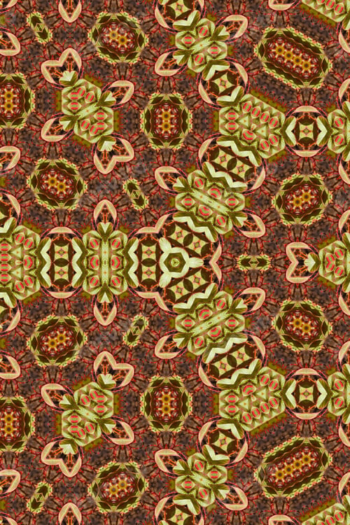 Preview: An Abstract Of A Firebush Plant With Bright Red Flowers 1763