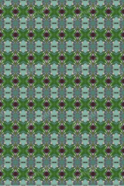 Preview: An Abstract Of Fresh Green Plumeria Rubra Leaves 0044