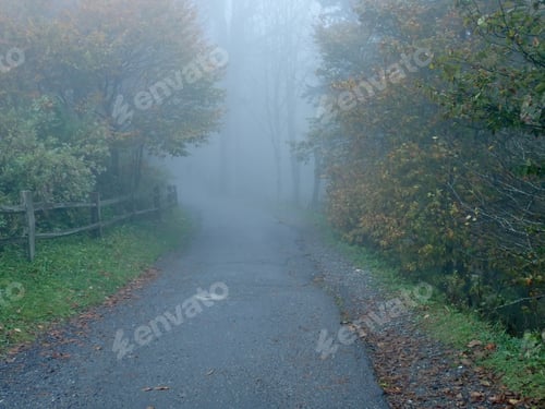 Preview: Road Through The Fog In The Woods