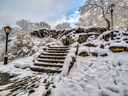 Preview: Central Park After Snow Storm In Winter