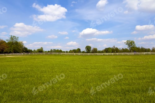 Preview: Wooden Fence