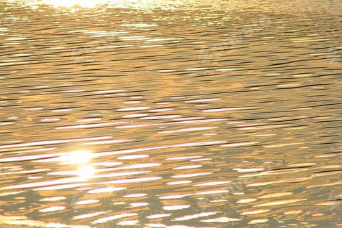 Preview: Golden Sunset Water - Colors In Nature Background - Ripples Of Light And Tranquility