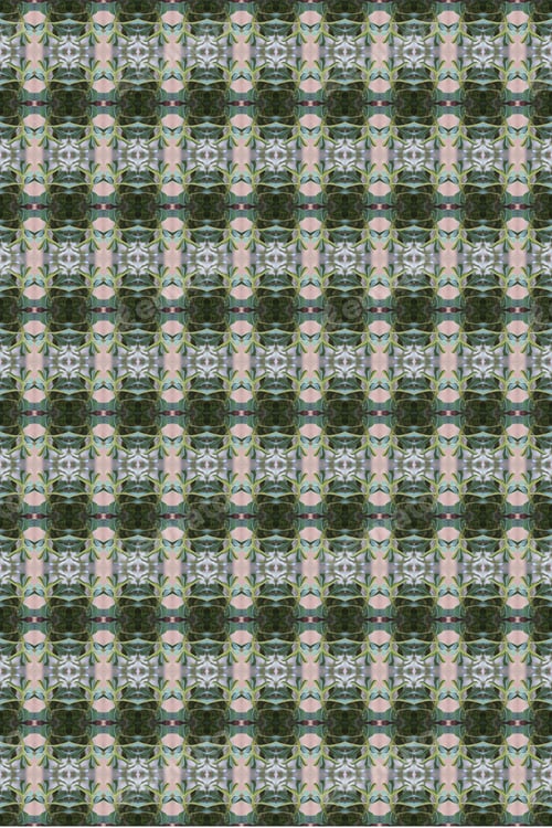 Preview: An Adenium Plant Abstract With Deep Fresh Green Leaves 0217