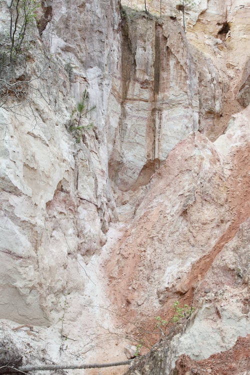 Preview: Abstract From Providence Canyon, Georgia