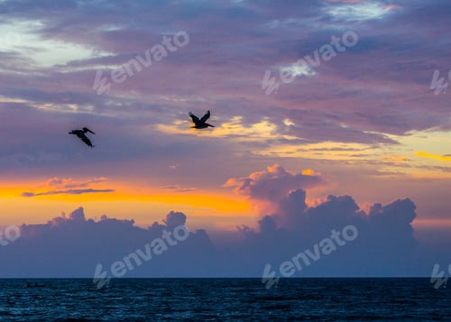 Preview: Silhouettes Of Two Pelicans Flying Above The Ocean As The Sun Rises In The Background Giving The