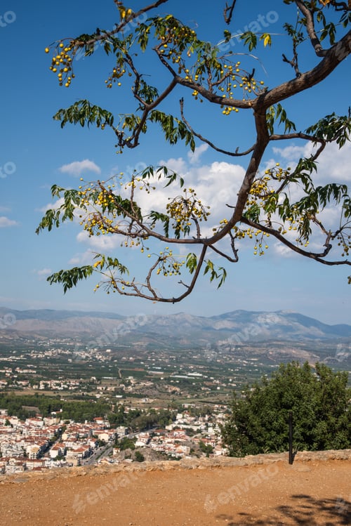 Preview: Hanging Over The Edge - Tree Branch With Flowers Hanging Over The Beautiful Landscape - Vertical