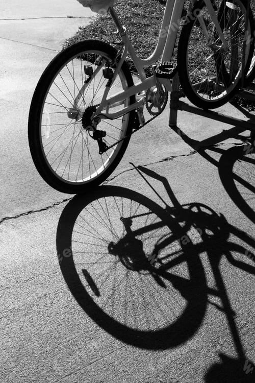 Preview: Bike Rear Tire And Shadow