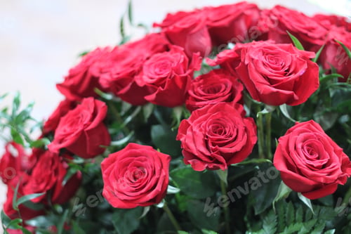 Preview: A Floral Bouquet Of One Hundred Red Roses 7566